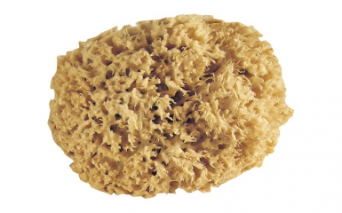 ÉPONGE NATURELLE PRO - GERBIS - BRUTE 1ER CHOIX - Ø 16 CM. Quincaillerie Sénégalaise, votre boutique de référence pour des produits de plomberie, bâtiment, et quincaillerie. Achetez facilement en ligne et recevez vos articles à domicile.