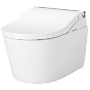 ABATTANT RW POUR WASHLET RP. Avec Quincaillerie Sénégalaise, vos projets prennent vie grâce à des équipements robustes et fiables. Découvrez notre gamme pour les professionnels et les bricoleurs. Livraison rapide et service client au top.