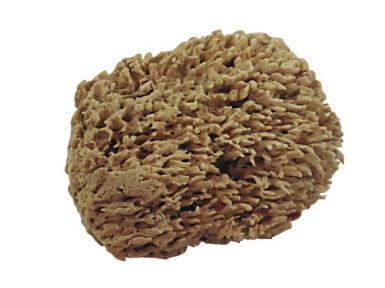 EPONGE NATURELLE           561. Pour des solutions adaptées à vos projets, choisissez Quincaillerie Sénégalaise. Nous proposons des produits de qualité pour la plomberie, la quincaillerie, et les travaux industriels. Notre service rapide vous facilite la vie.