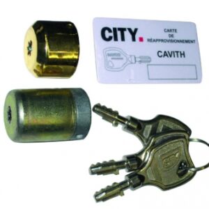 JEU DE CYLINDRES CAVITH POUR SERRURES MULTIPOINTS CAVITH A2P**, 3 CLÉS. Pour des travaux réussis, optez pour Quincaillerie Sénégalaise. Une boutique en ligne fiable pour vos équipements de plomberie et bâtiment. Livraison rapide et produits de qualité.