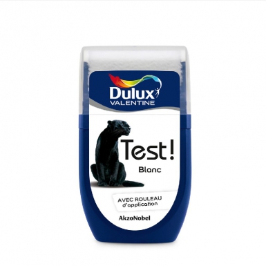 PEINTURE TEST! - COLOR RESIST - TESTEUR 30 ML - BLANC. Pour tous vos travaux, faites confiance à Quincaillerie Sénégalaise. Notre boutique en ligne propose des produits fiables pour la plomberie, la quincaillerie et le bâtiment. Commandez dès maintenant.
