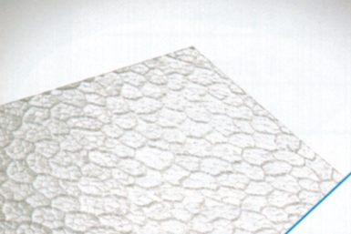 ROBEXGLAS NID D'ABEILLE 1 FACE LISSE ÉP. 2,5 MM PANNEAU 200X100 CM. Pour une quincaillerie de qualité au Sénégal, choisissez Quincaillerie Sénégalaise. Nos produits sont sélectionnés pour répondre à vos exigences. Commandez facilement en ligne et recevez vos articles rapidement.