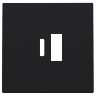 SET DE FINITION POUR DOUBLE CHARGEUR USB-A ET USB-C INTELLIGENT - COULEUR DE FINITION: BLACK COATED.. Pour des travaux réussis, optez pour Quincaillerie Sénégalaise. Une boutique en ligne fiable pour vos équipements de plomberie et bâtiment. Livraison rapide et produits de qualité.
